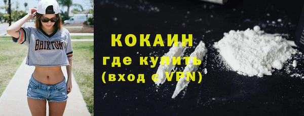 прущие грибы Аркадак