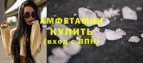 прущие грибы Аркадак