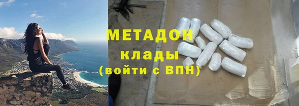 прущие грибы Аркадак