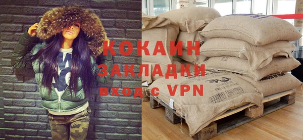 прущие грибы Аркадак