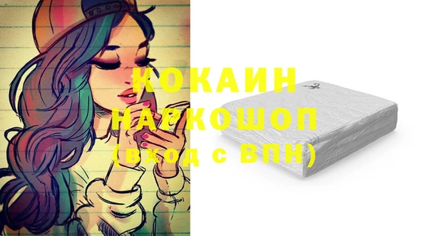прущие грибы Аркадак