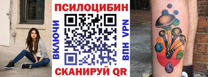 Галлюциногенные грибы мицелий  цена наркотик  Моздок 