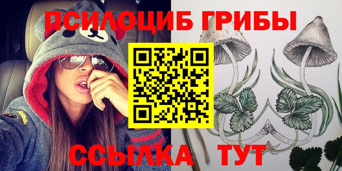 Галлюциногенные грибы Cubensis Моздок