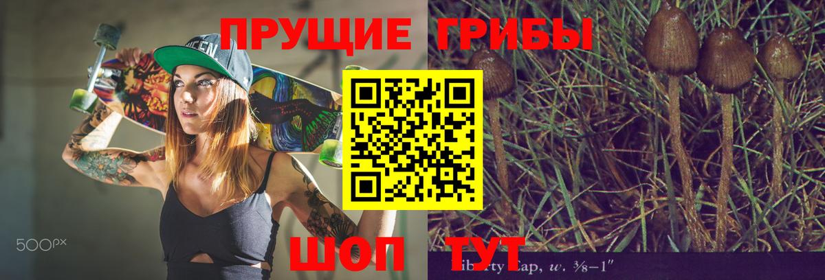 Моздок  где купить наркоту  Вход с VPN  Галлюциногенные грибы прущие грибы 