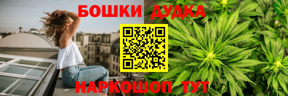 A PVP Моздок